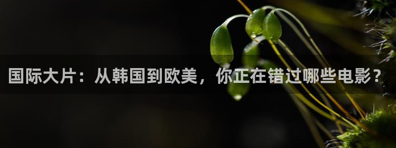 羞羞影院免费观看：国际大片：从韩国到欧美，你正在错过哪些电影？