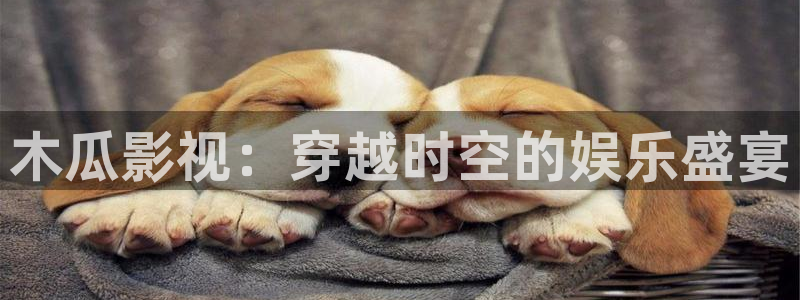 羞羞影院首页：木瓜影视：穿越时空的娱乐盛宴